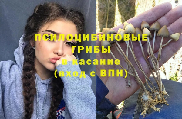 кокс Приозерск